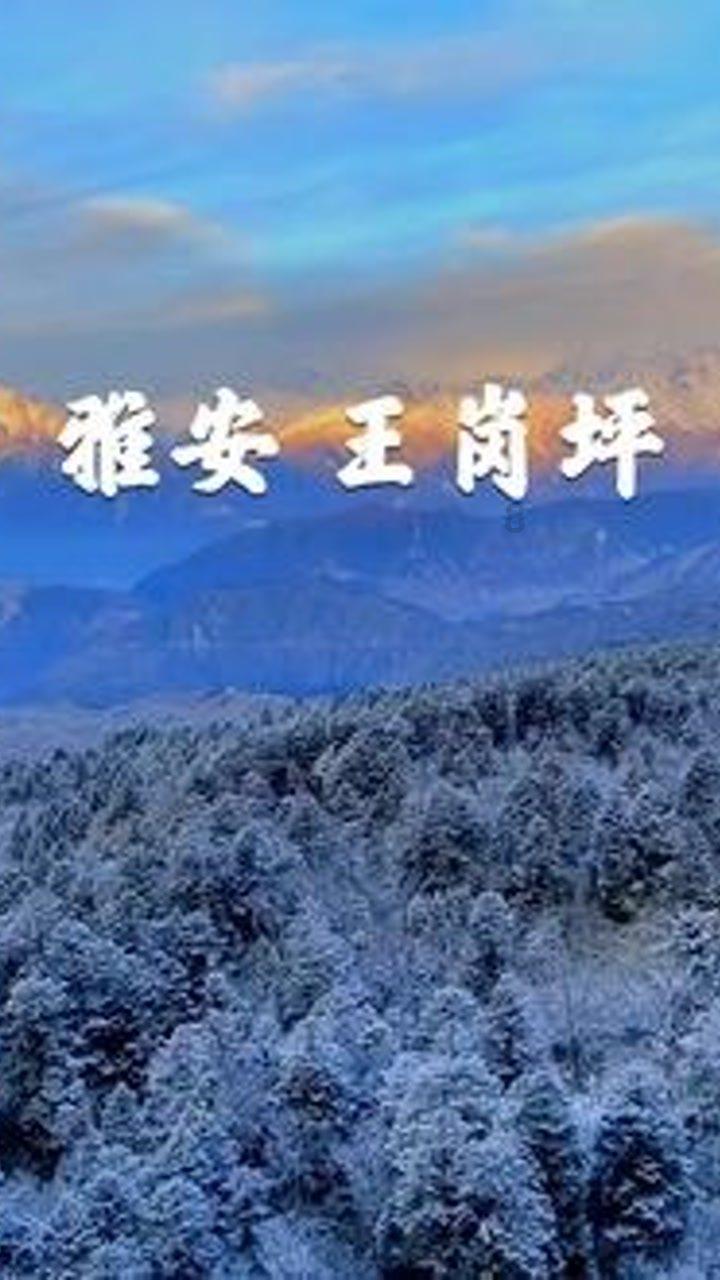 重生之星途璀璨